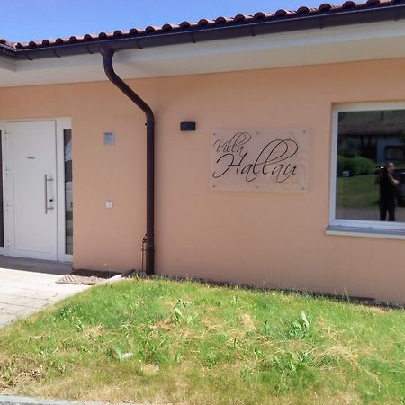 Bed And Breakfast Villa Hallau エクステリア 写真